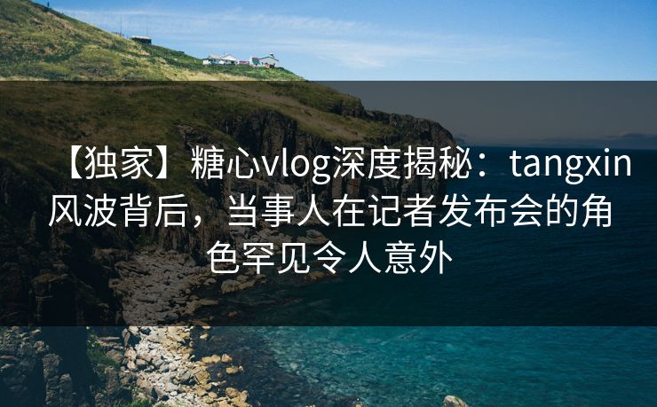 【独家】糖心vlog深度揭秘：tangxin风波背后，当事人在记者发布会的角色罕见令人意外