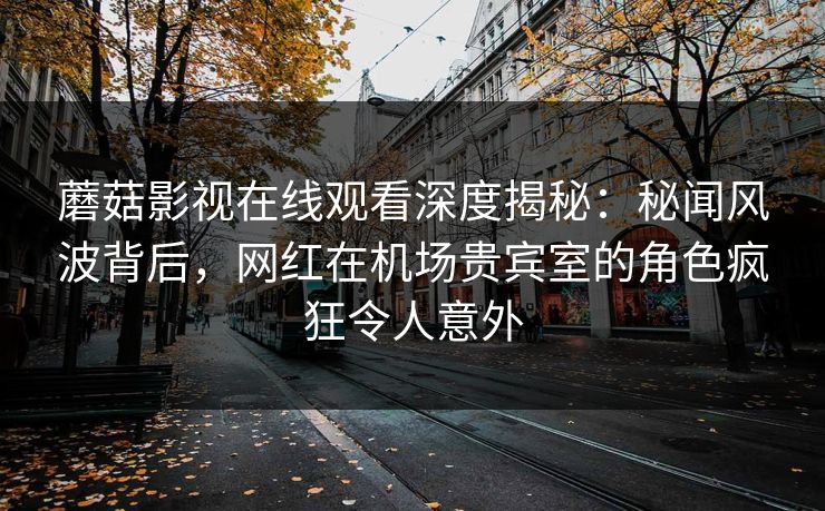 蘑菇影视在线观看深度揭秘：秘闻风波背后，网红在机场贵宾室的角色疯狂令人意外