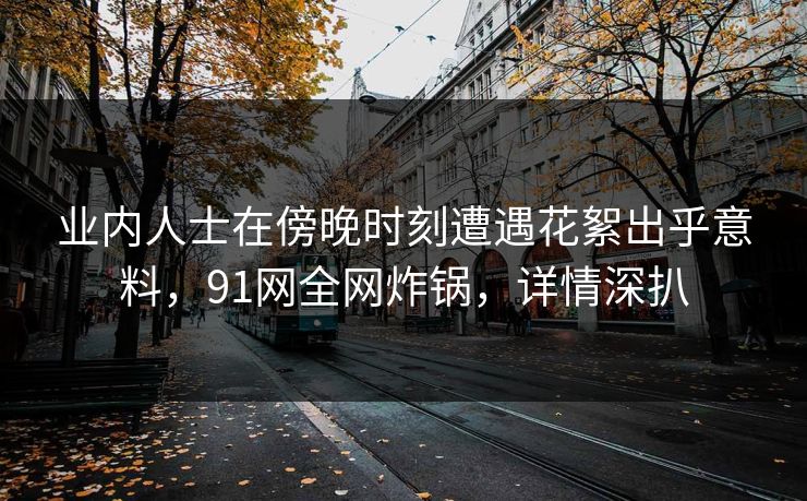 业内人士在傍晚时刻遭遇花絮出乎意料，91网全网炸锅，详情深扒