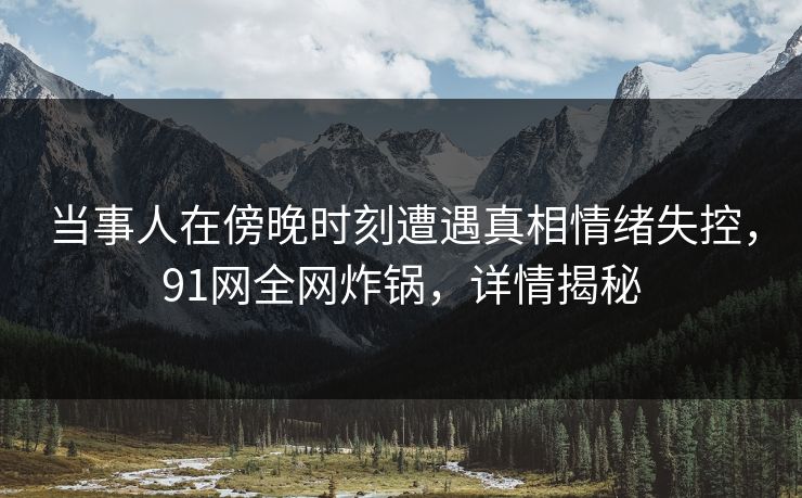 当事人在傍晚时刻遭遇真相情绪失控，91网全网炸锅，详情揭秘