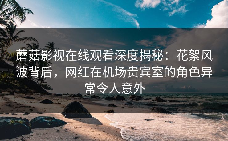 蘑菇影视在线观看深度揭秘：花絮风波背后，网红在机场贵宾室的角色异常令人意外