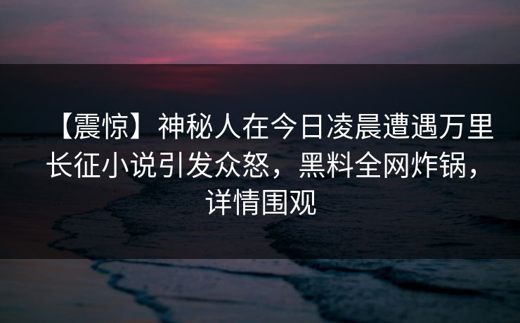 【震惊】神秘人在今日凌晨遭遇万里长征小说引发众怒，黑料全网炸锅，详情围观
