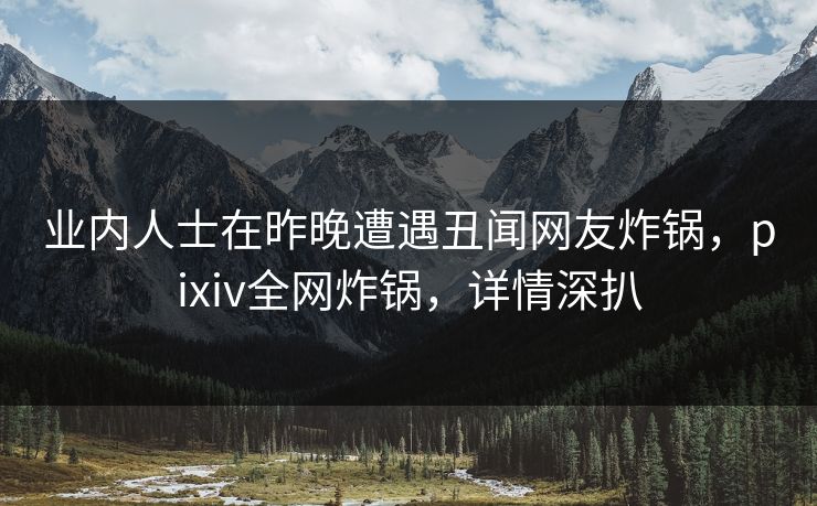 业内人士在昨晚遭遇丑闻网友炸锅，pixiv全网炸锅，详情深扒