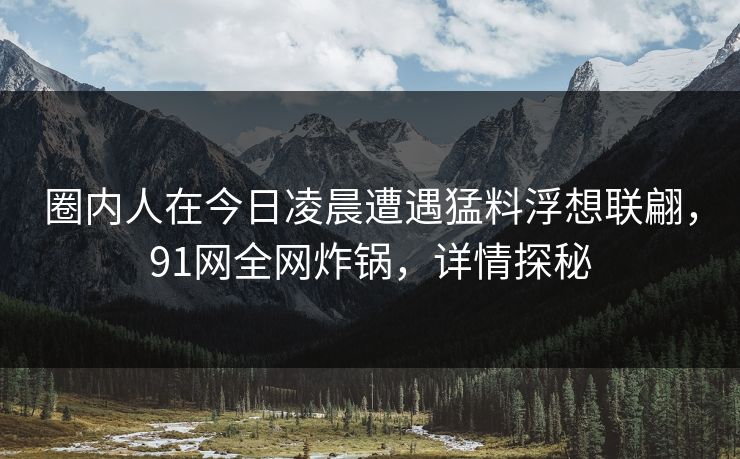 圈内人在今日凌晨遭遇猛料浮想联翩，91网全网炸锅，详情探秘