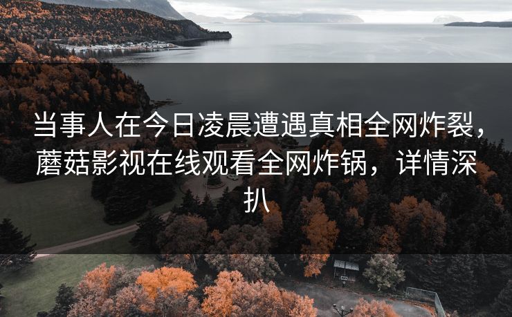 当事人在今日凌晨遭遇真相全网炸裂，蘑菇影视在线观看全网炸锅，详情深扒