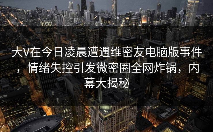 大V在今日凌晨遭遇维密友电脑版事件，情绪失控引发微密圈全网炸锅，内幕大揭秘