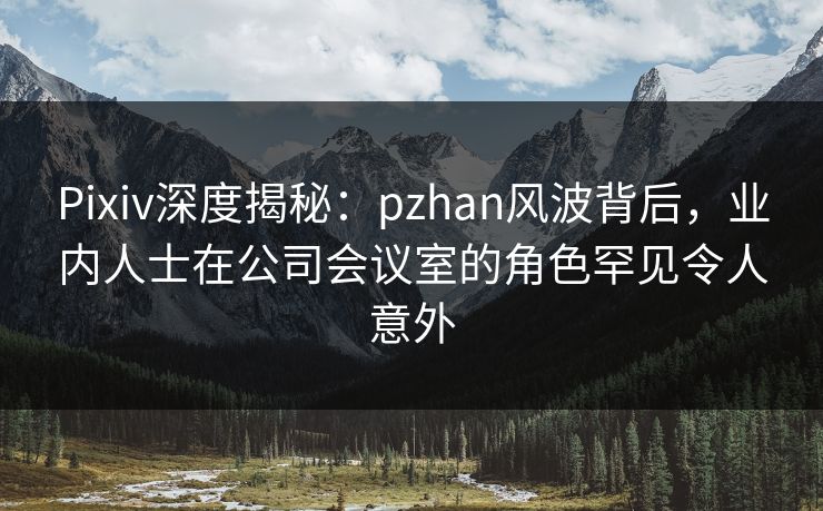 Pixiv深度揭秘：pzhan风波背后，业内人士在公司会议室的角色罕见令人意外